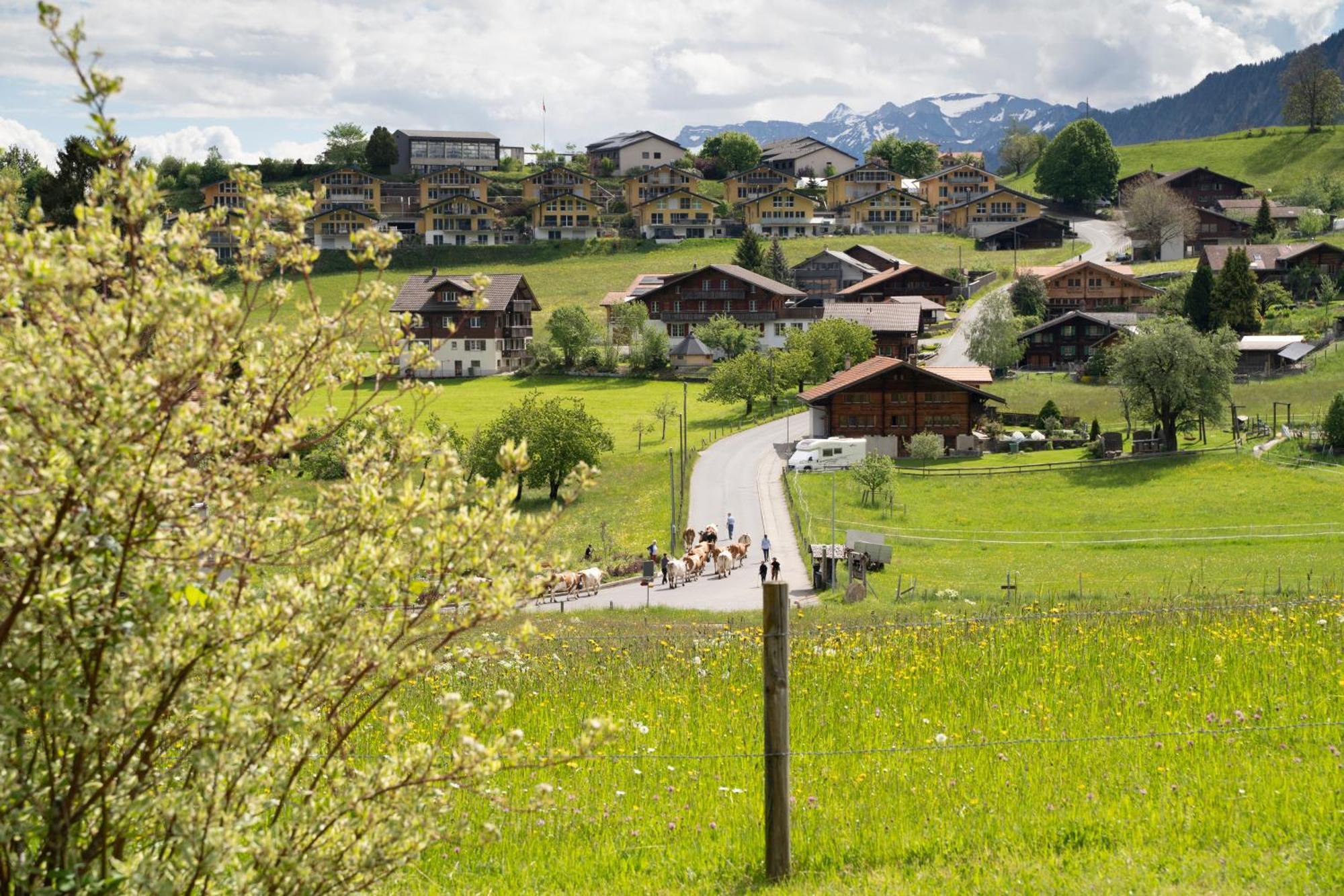 Bergblick Lodge - 3 Sterne Garni - Neueroeffnung Aeschi Bei Spiez Exterior photo