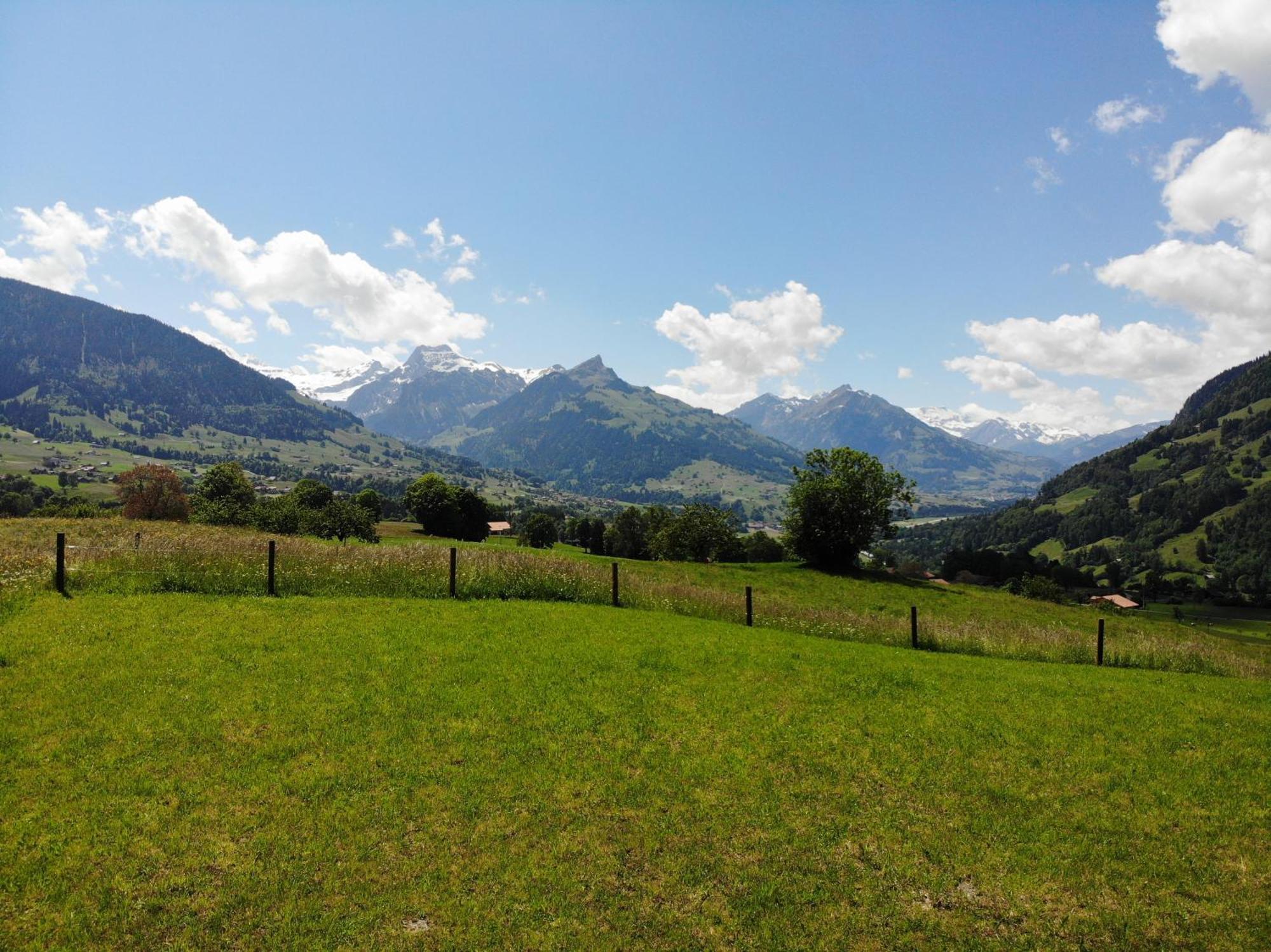 Bergblick Lodge - 3 Sterne Garni - Neueroeffnung Aeschi Bei Spiez Exterior photo